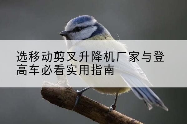 延川电动升降机厂家-选移动剪叉升降机厂家与登高车必看实用指南