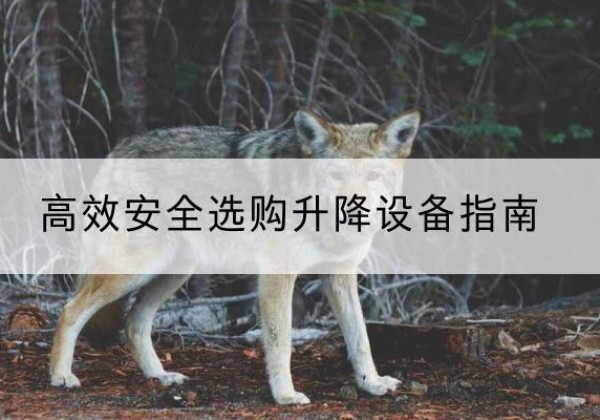 延川升降货梯厂家推荐-*安全选购升降设备指南