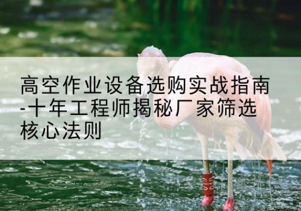 延川剪叉式升降机厂家-高空作业设备选购实战指南-十年工程师揭秘厂家筛选核心法则