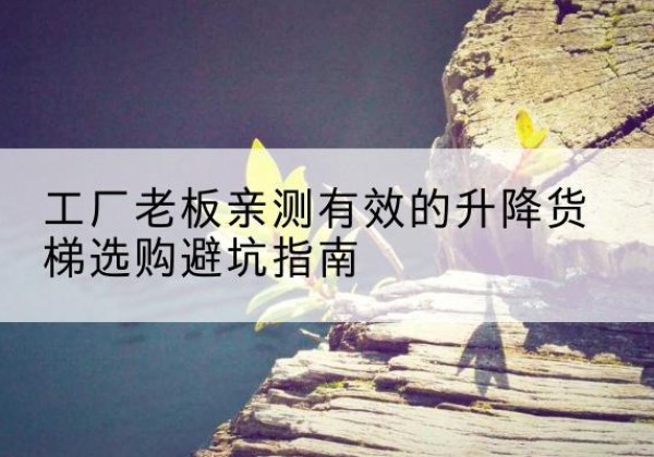 延川升降货梯怎么选-工厂老板亲测有效的升降货梯选购避坑指南